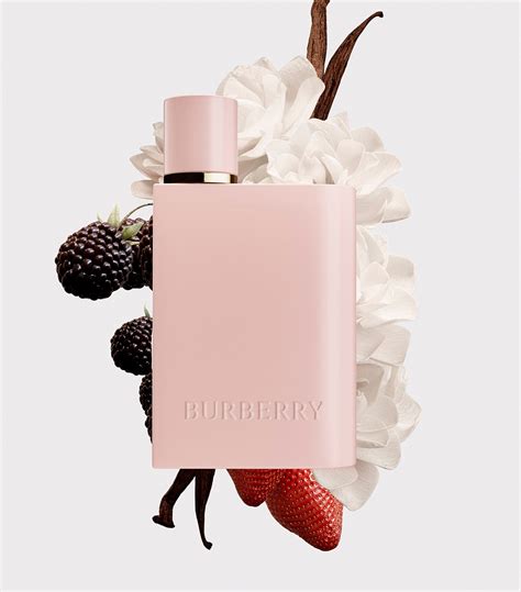 burberry her elixir 50ml|Burberry original perfume 50ml.